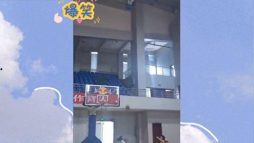 沙雕视频爆料网站大全,笑料横生，欢乐无限！