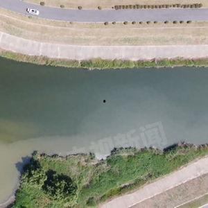 滁河水体污染新闻爆料,揭秘背后真相与治理挑战  第3张